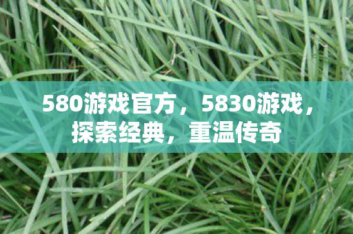 580游戏官方，5830游戏，探索经典，重温传奇