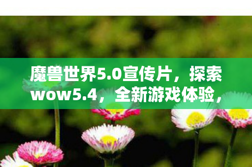 魔兽世界5.0宣传片，探索wow5.4，全新游戏体验，带你领略不一样的世界