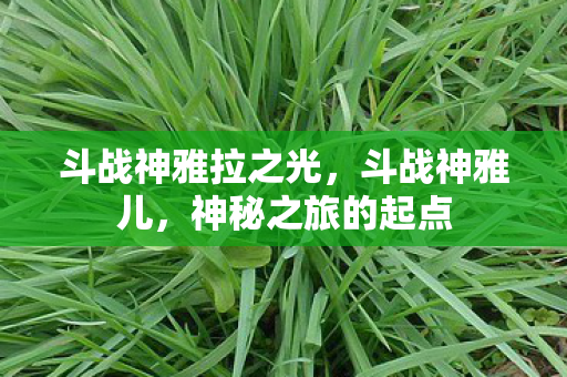 斗战神雅拉之光，斗战神雅儿，神秘之旅的起点