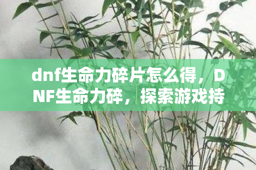 dnf生命力碎片怎么得，DNF生命力碎，探索游戏持续生命力的奥秘