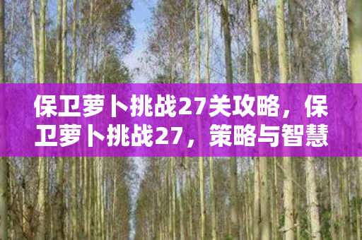 保卫萝卜挑战27关攻略，保卫萝卜挑战27，策略与智慧的双重考验