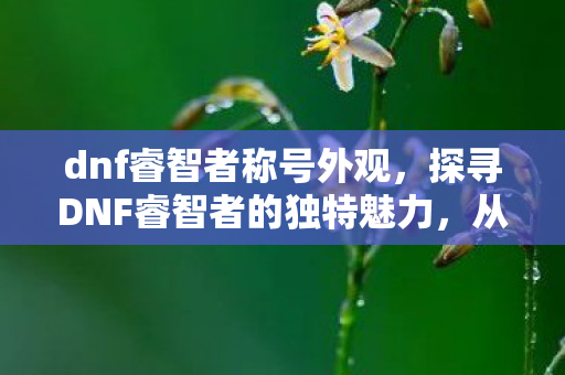 dnf睿智者称号外观，探寻DNF睿智者的独特魅力，从游戏设计到玩家体验的深度剖析