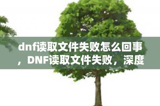 dnf读取文件失败怎么回事，DNF读取文件失败，深度解析与解决方案