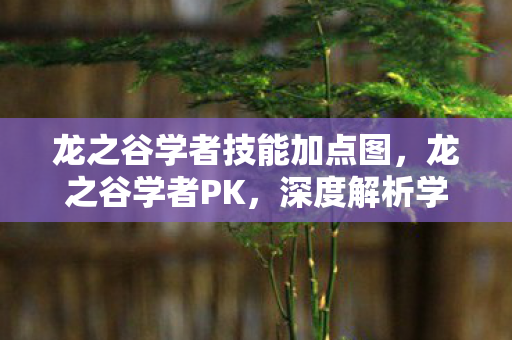 龙之谷学者技能加点图，龙之谷学者PK，深度解析学者职业在竞技场中的策略与技巧