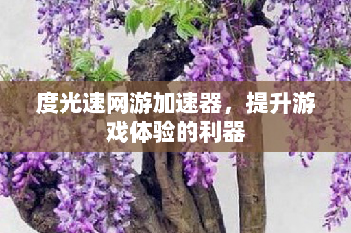 度光速网游加速器，提升游戏体验的利器