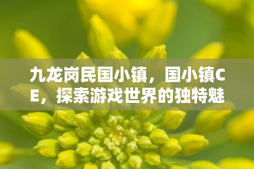 九龙岗民国小镇，国小镇CE，探索游戏世界的独特魅力