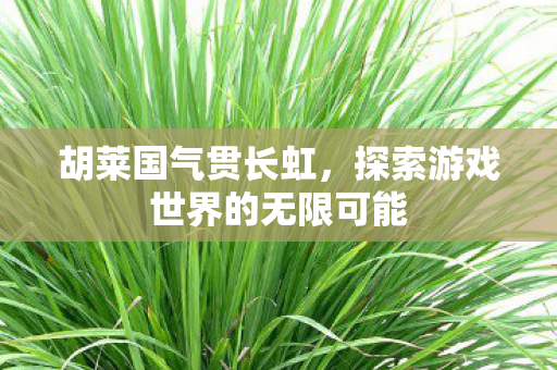 胡莱国气贯长虹，探索游戏世界的无限可能