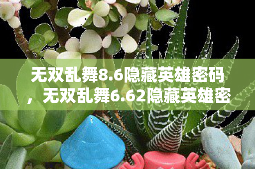 无双乱舞8.6隐藏英雄密码，无双乱舞6.62隐藏英雄密码揭秘，解锁未知力量的神秘钥匙