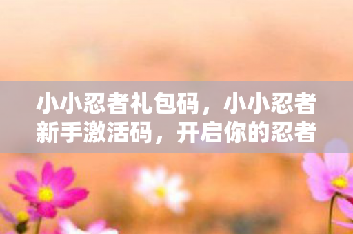小小忍者礼包码，小小忍者新手激活码，开启你的忍者之旅