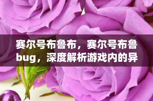 赛尔号布鲁布，赛尔号布鲁bug，深度解析游戏内的异常现象