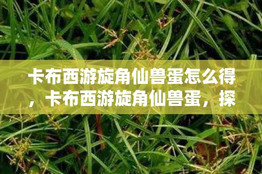 卡布西游旋角仙兽蛋怎么得，卡布西游旋角仙兽蛋，探索神秘世界的奇妙之旅