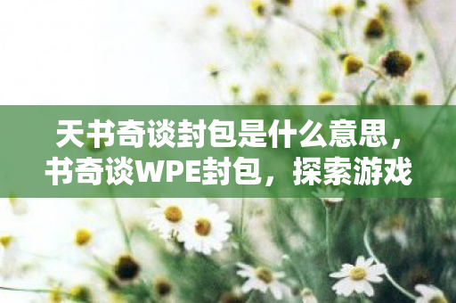 天书奇谈封包是什么意思，书奇谈WPE封包，探索游戏自动化的奥秘