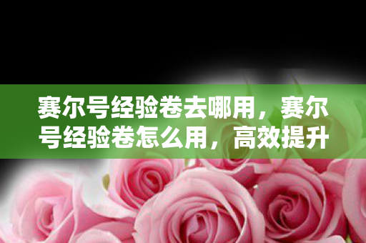 赛尔号经验卷去哪用，赛尔号经验卷怎么用，高效提升精灵等级的策略指南