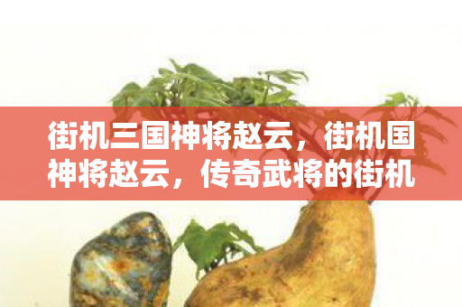 街机三国神将赵云，街机国神将赵云，传奇武将的街机风采