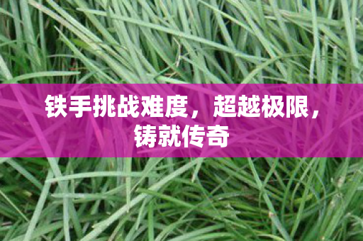 铁手挑战难度，超越极限，铸就传奇