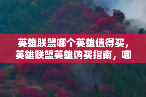 英雄联盟哪个英雄值得买，英雄联盟英雄购买指南，哪些英雄值得入手？