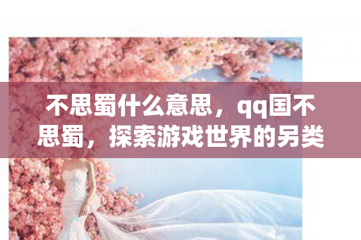 不思蜀什么意思，qq国不思蜀，探索游戏世界的另类乐趣