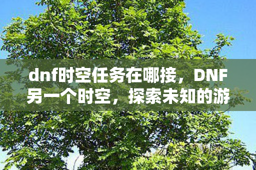 dnf时空任务在哪接，DNF另一个时空，探索未知的游戏世界与无限可能