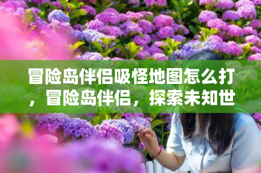 冒险岛伴侣吸怪地图怎么打，冒险岛伴侣，探索未知世界的神秘地图