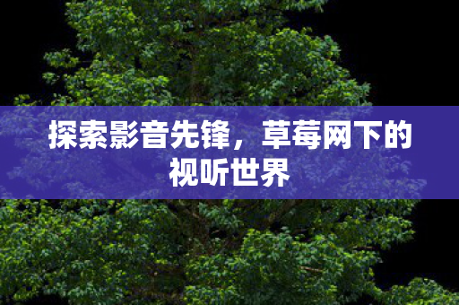 探索影音先锋，草莓网下的视听世界