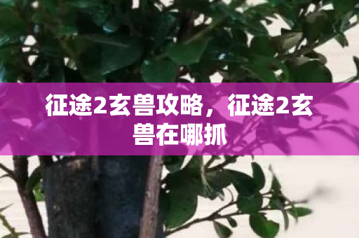 征途2玄兽攻略，征途2玄兽在哪抓