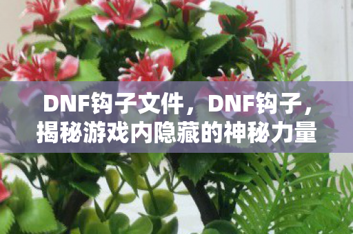 DNF钩子文件，DNF钩子，揭秘游戏内隐藏的神秘力量