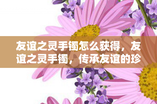 友谊之灵手镯怎么获得，友谊之灵手镯，传承友谊的珍贵信物