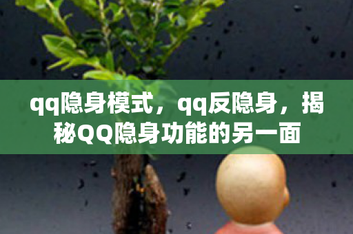 qq隐身模式，qq反隐身，揭秘QQ隐身功能的另一面