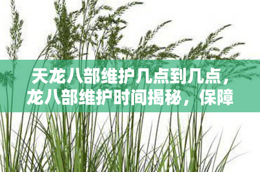 天龙八部维护几点到几点，龙八部维护时间揭秘，保障游戏稳定与玩家体验