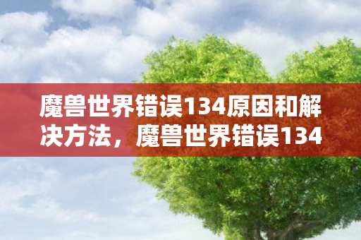 魔兽世界错误134原因和解决方法，魔兽世界错误134，深度解析与解决方案