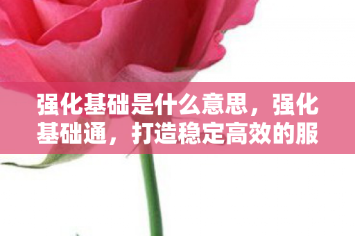 强化基础是什么意思，强化基础通，打造稳定高效的服务器环境