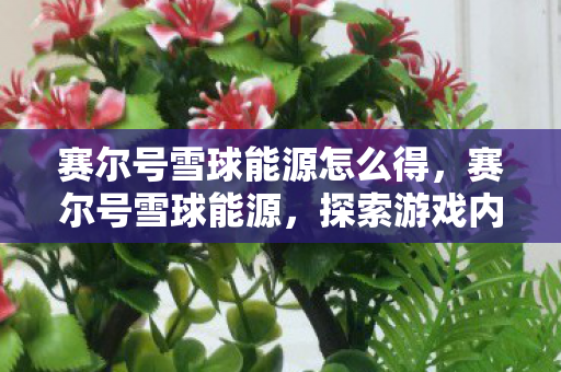 赛尔号雪球能源怎么得，赛尔号雪球能源，探索游戏内独特资源，揭秘其珍贵价值