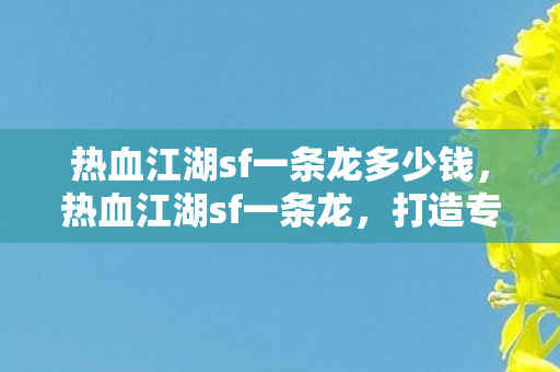 热血江湖sf一条龙多少钱，热血江湖sf一条龙，打造专属的江湖之旅