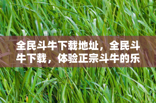 全民斗牛下载地址，全民斗牛下载，体验正宗斗牛的乐趣
