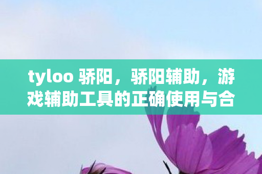 tyloo 骄阳，骄阳辅助，游戏辅助工具的正确使用与合规性探讨