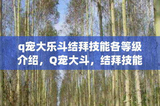 q宠大乐斗结拜技能各等级介绍，Q宠大斗，结拜技能的奥秘与实战应用