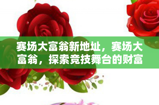 赛场大富翁新地址，赛场大富翁，探索竞技舞台的财富传奇