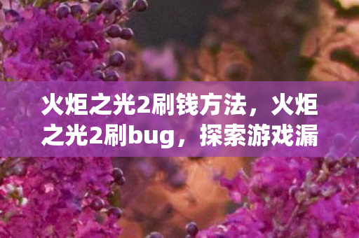 火炬之光2刷钱方法，火炬之光2刷bug，探索游戏漏洞的乐趣与风险