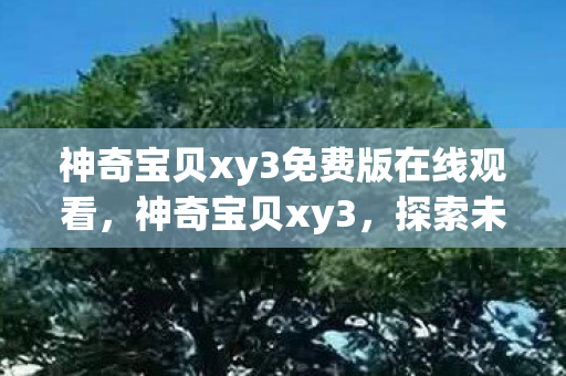 神奇宝贝xy3免费版在线观看，神奇宝贝xy3，探索未知世界的奇妙旅程