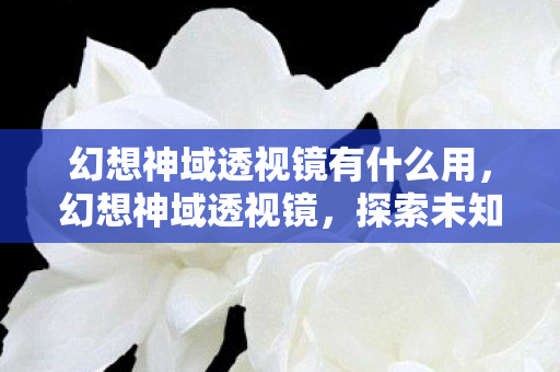 幻想神域透视镜有什么用，幻想神域透视镜，探索未知世界的神秘工具