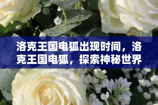 洛克王国电狐出现时间，洛克王国电狐，探索神秘世界的奇幻之旅