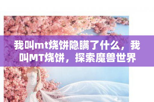我叫mt烧饼隐瞒了什么，我叫MT烧饼，探索魔兽世界的另一种可能