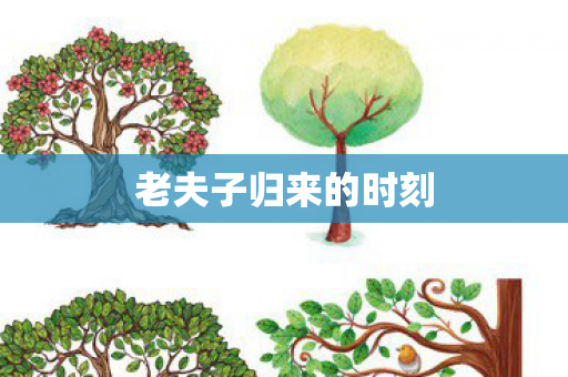 老夫子归来的时刻 老夫子归来的时刻