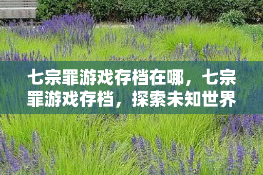 七宗罪游戏存档在哪，七宗罪游戏存档，探索未知世界的珍贵记录