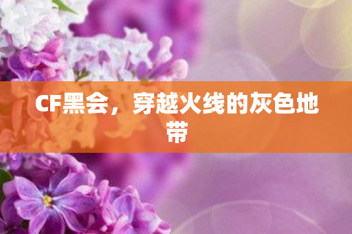CF黑会，穿越火线的灰色地带