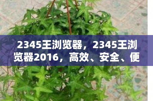 2345王浏览器，2345王浏览器2016，高效、安全、便捷的上网新选择