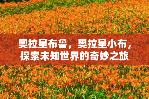奥拉星布鲁，奥拉星小布，探索未知世界的奇妙之旅