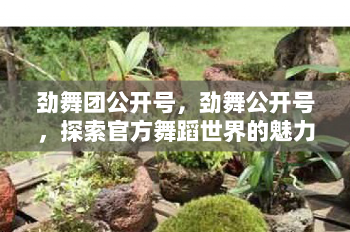 劲舞团公开号，劲舞公开号，探索官方舞蹈世界的魅力