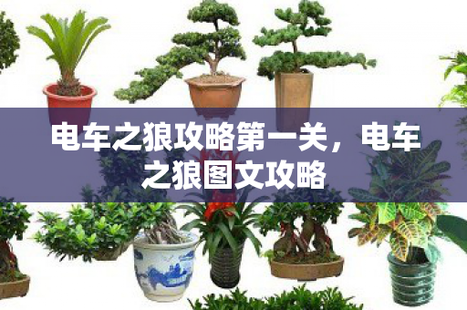 电车之狼攻略第一关，电车之狼图文攻略