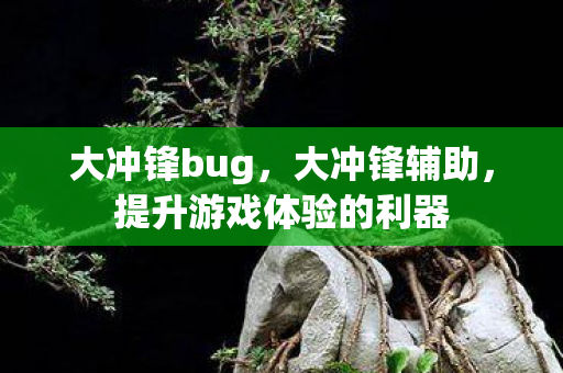 大冲锋bug，大冲锋辅助，提升游戏体验的利器